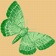 Схема вышивки "Подушечка с зеленой бабочкой"