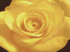 Схема вышивки "Желтая роза"